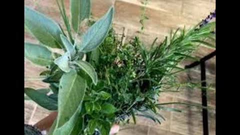 Enchanting Herbs