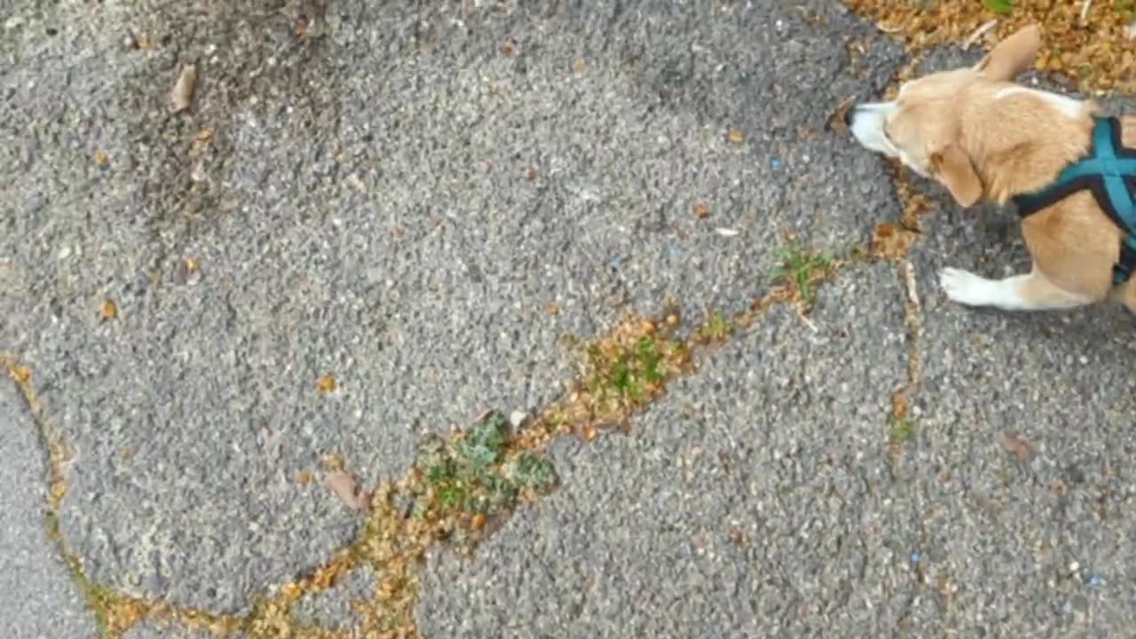 2023-04-01 (1) - Configuration - Twitch Meutemediatique