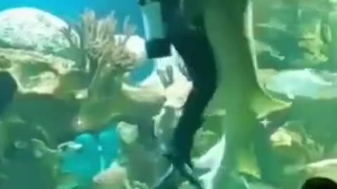 Diver Hugging and Dancing With Fish #shorts #viral #shortsvideo #video