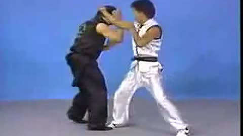 Choy Lee Fut Kung Fu