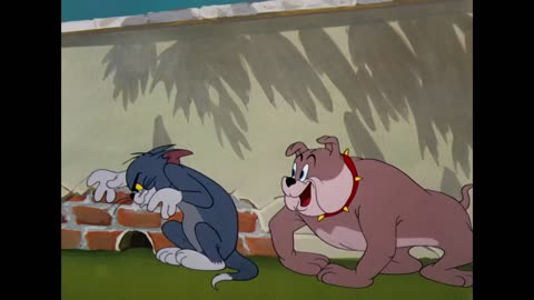 Tom and Jerry