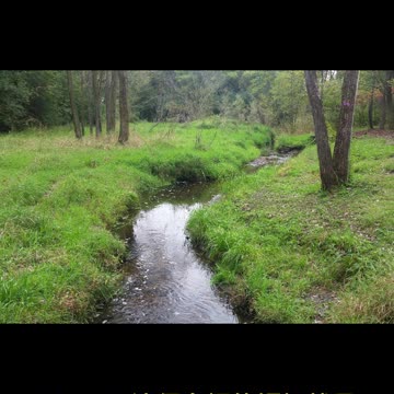 新聞美語 每日一字 Creek