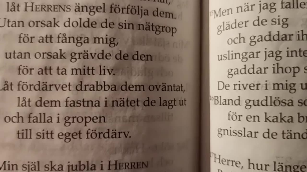 Psalm 35. Oskyldigt anklagad. Örebro 21 Jan. 2022