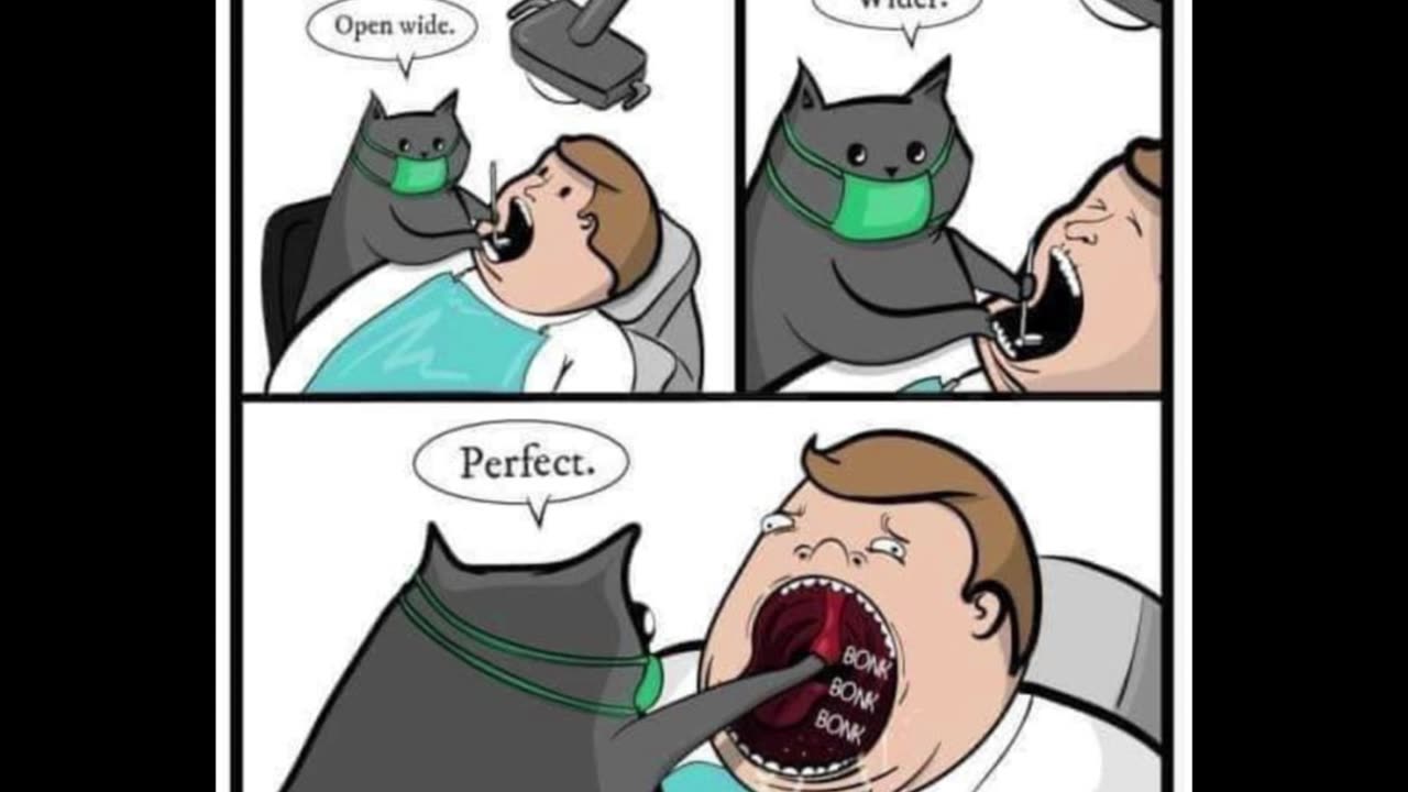 Random Memes 851
