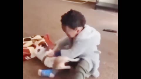 Child And Dog Very Funny Clip