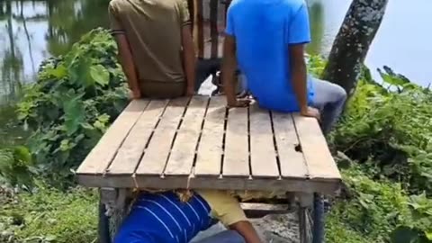 Funny entertainment video