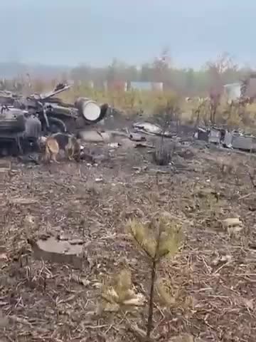 ĐOÀN XE QUÂN NGA DÀI 64 KM CÁCH KYIV 30 KM - ĐANG Ở ĐÂU❓