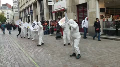 Les Masques Blancs Nantes Action Pancartes le 26 nov 2022