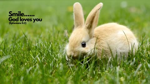 Smile Jesus loves you