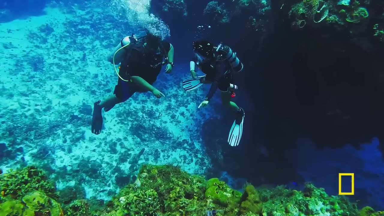 xperiencing the currents of the coral reef I Never Say Never with Jeff Jenkins
