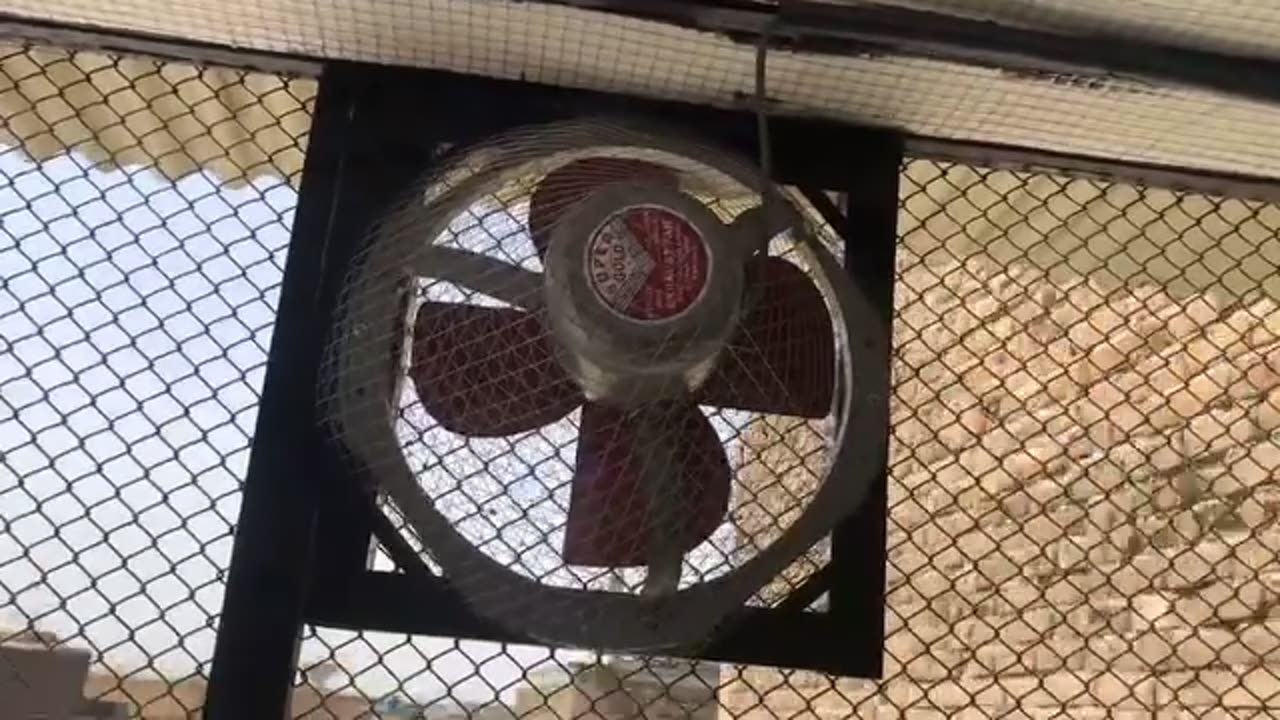 New bird setup