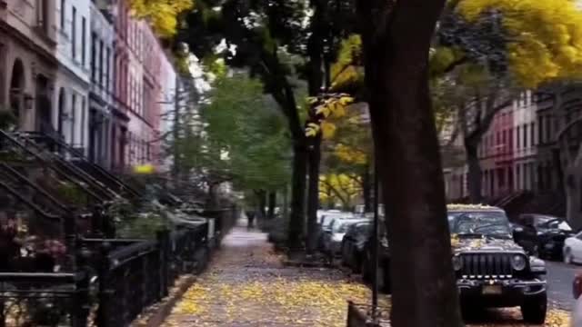 Let the troubles of autumn go with the fallen leaves