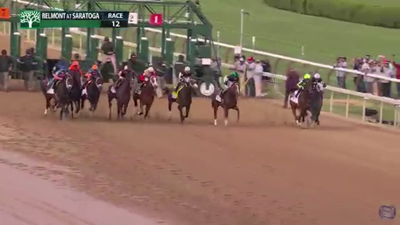 DORNOCH wins 156th Belmont Stakes at Saratoga NY 08-Jun-2024