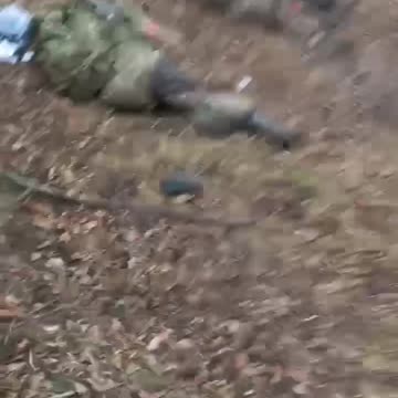 Another 12 Left in the Treeline