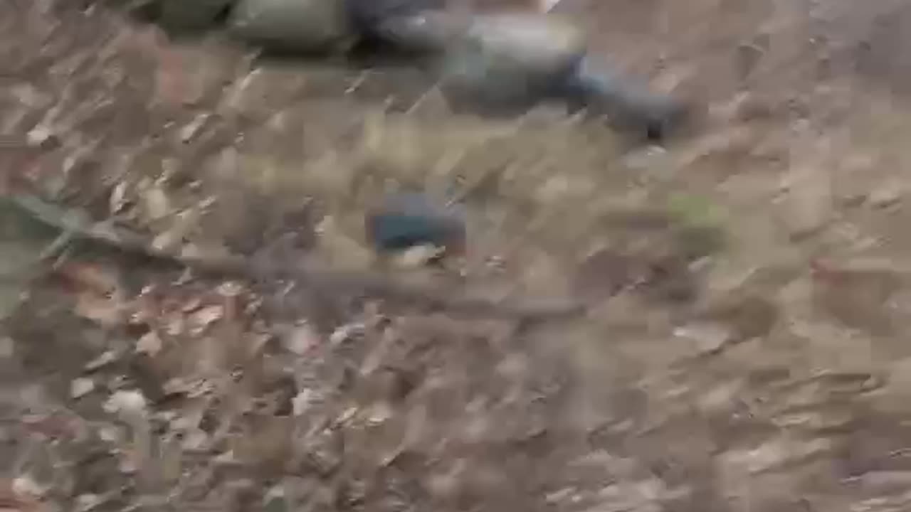 Another 12 Left in the Treeline