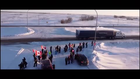 Honk For Freedom! The Truckers Saved Canadians