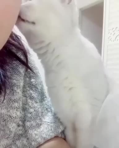 #FYP #ForYou #TikTokFYP #ForYouPage #Trending #Viral #ExplorePage #FYPシ