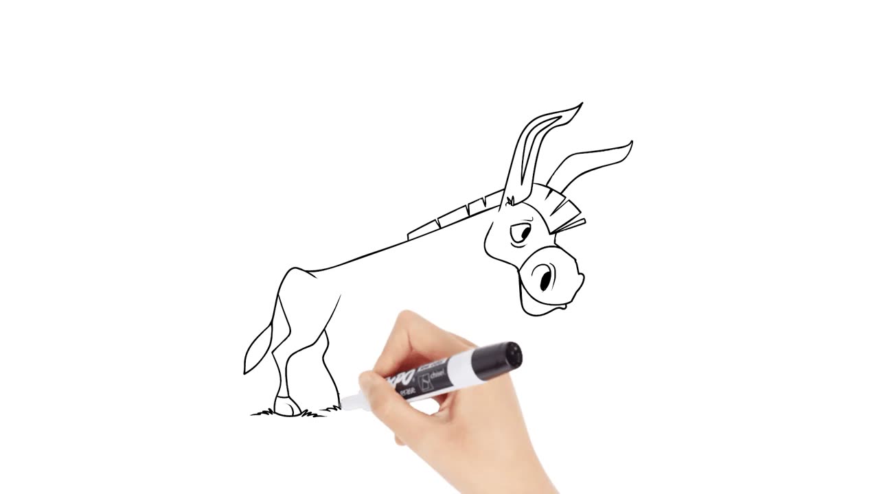 how to draw Donkey