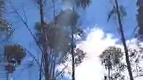 EN LA CIMA DE LA TERCERA MONTAÑA LLEGUE A UNOS ÁRBOLES