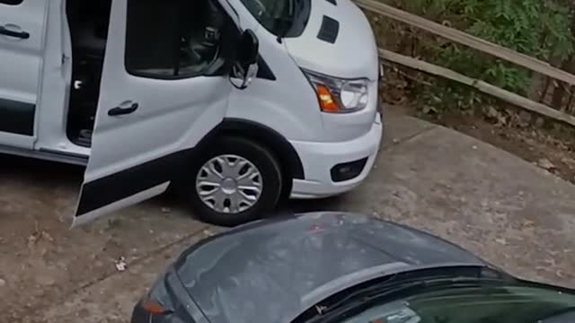 Hungry bear breaks into van, escapes with tasty snack