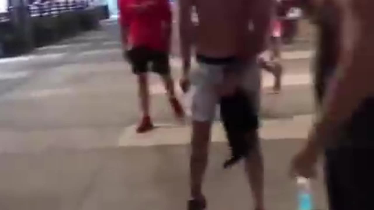 One professional MMA fighter vs two street punks