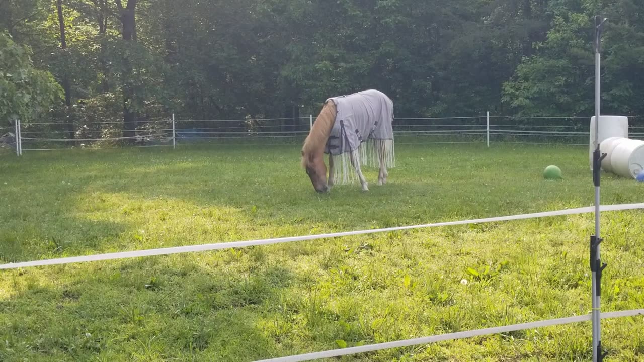 Needing more string 05/23/2023