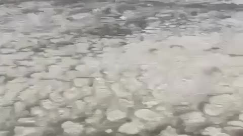 The hailstorm flow at street in the Amalucan area in Puebla, Mexico...