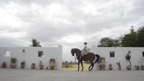 Spain’s female bullfighter bucks stereotype