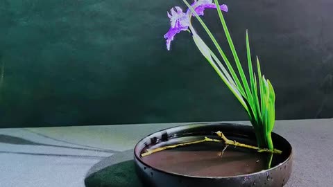 Ikebana 010: Oriental Style Natural Flower Arrangement Artistic Creativity