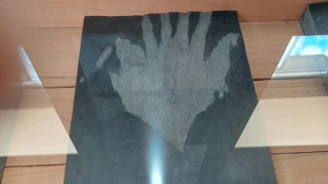 Museu das Trilobites - Ponte Suspensa 516