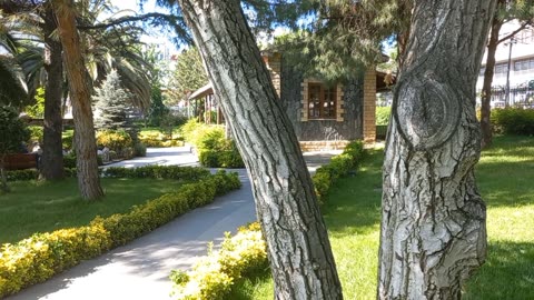 A beautiful view from inside the garden, a small house and the sounds of birds