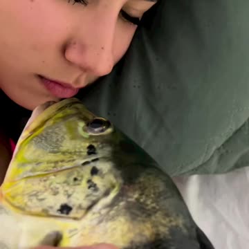 Legend Has it that he still Sleeping on the Couch