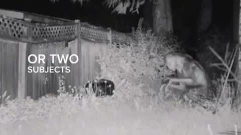 Alleged alien footage.