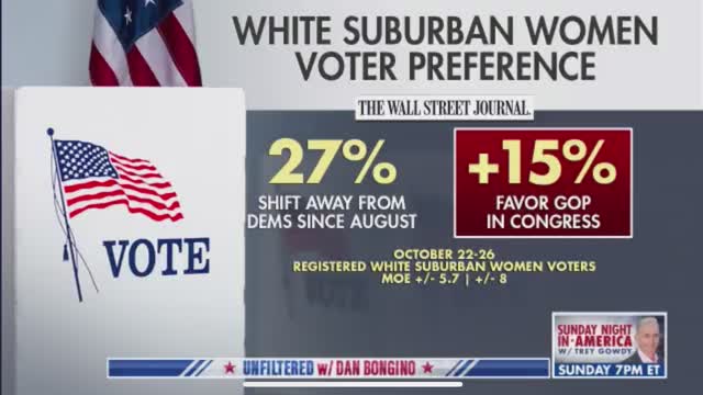One Day Until Election Day: Tudor Dixon on Dan Bongino