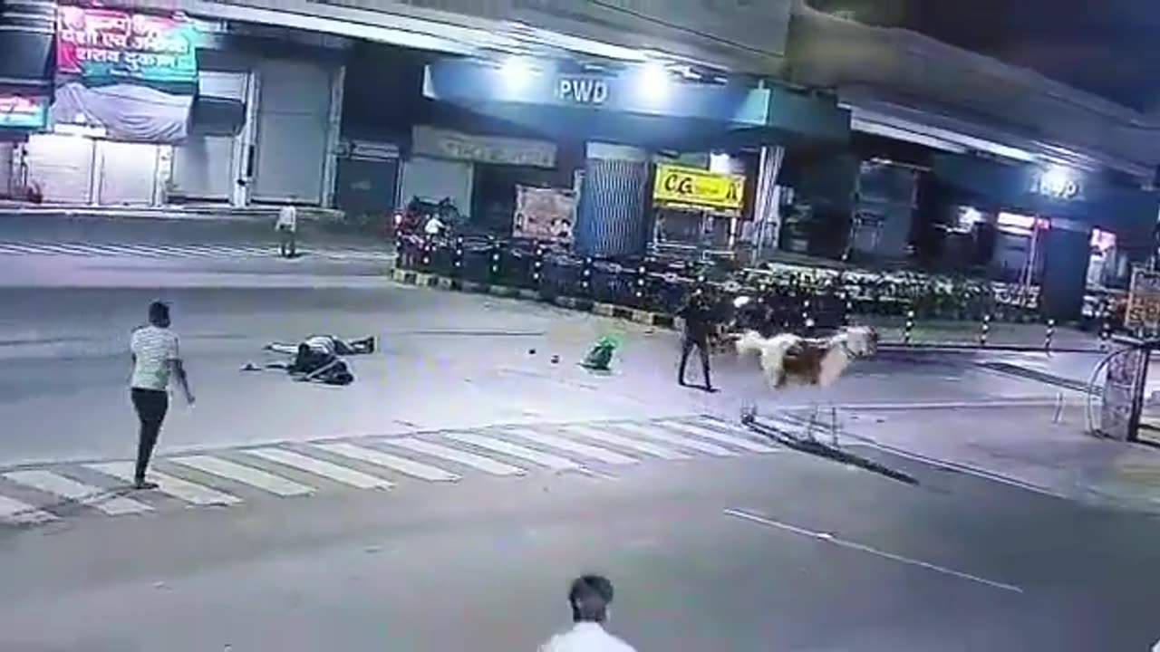 Collision between bike and horse