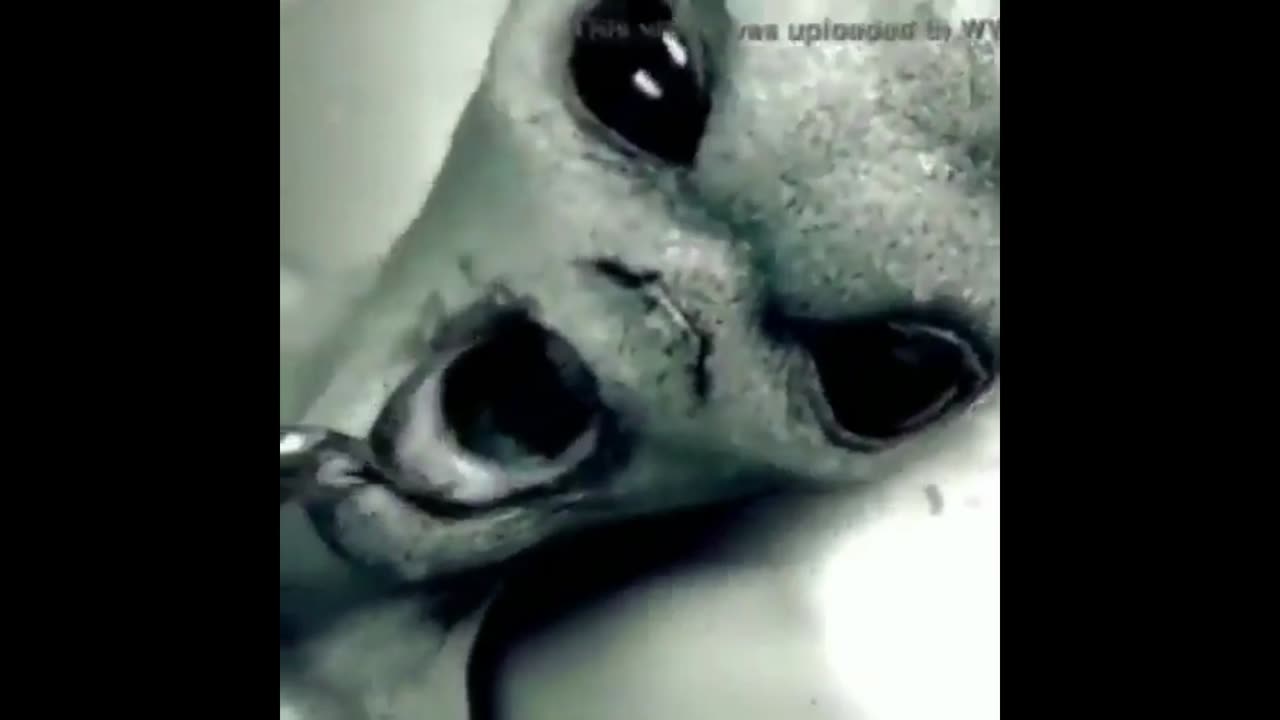 UFO and ET Footage Like You've Never Seen Before!