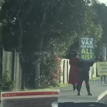 Protest In Noua Zeelanda