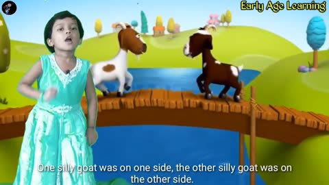 Animal funny video