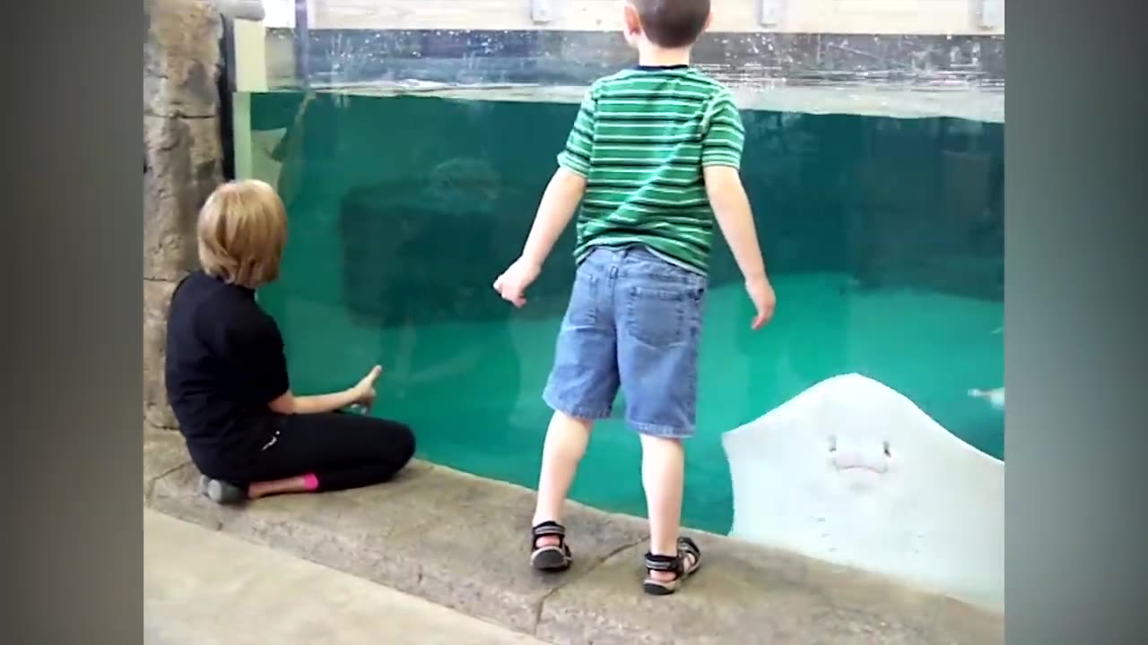 Funny Kids At The Aquarium||Girl Spooked By A Beluga Whale!