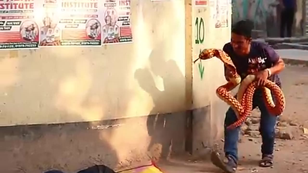 KING COBRA SNAKE PRANK ON PUBLIC PLACE