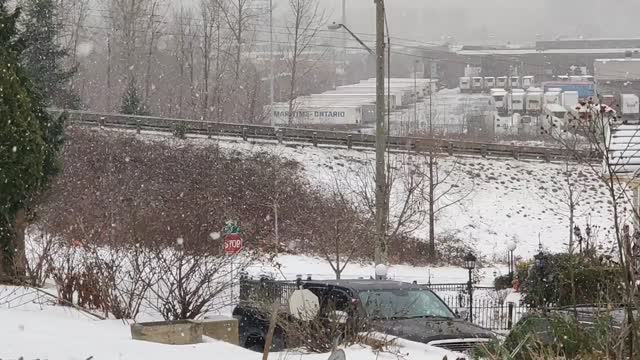 Snow in the Neighborhood