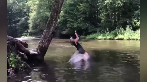 JUST RANDO STUPID AND FUNNY VIDEOS COMPILATION !!! #037