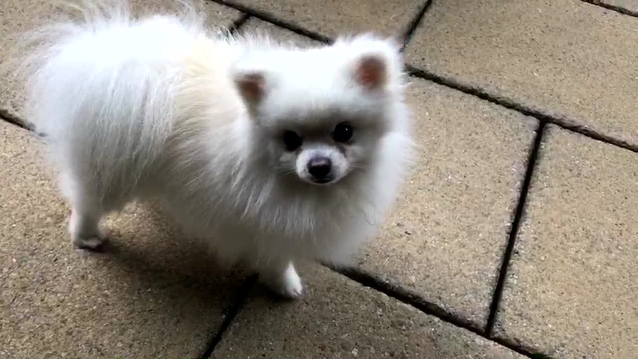 e6YepweGCzG8eQSTJbVfMD