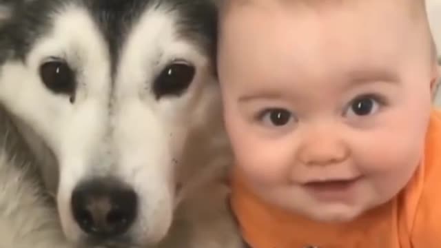 Baby With Dog Love Superb Dogs I like it dog 🐕🐶
