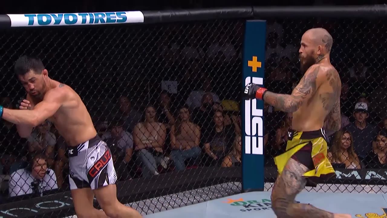 ufc top finishes