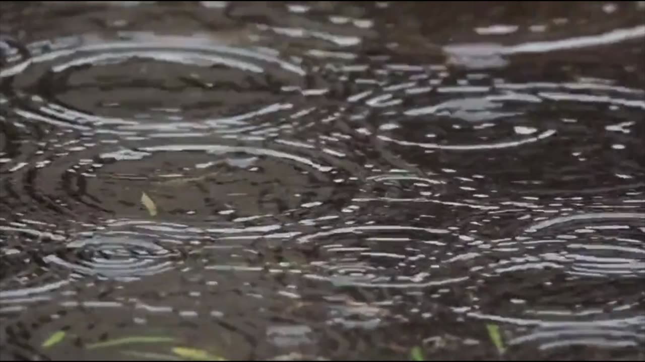 Rain Drops For Focus Study Sleep Relaxation