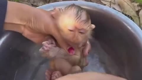 Bath time 🐒🐒🐒🐒🐒🐒