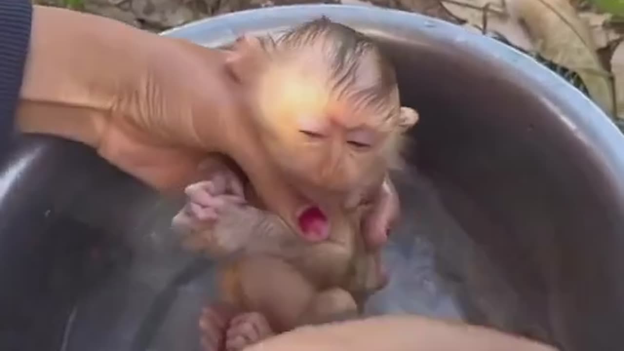 Bath time 🐒🐒🐒🐒🐒🐒