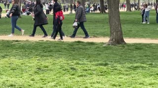 A look at the national mall on Saturday