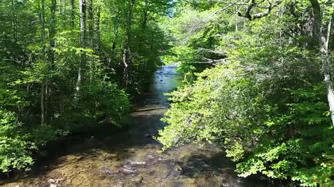 Day 20 - Appalachian Trail 2019 - Virginia - WIND ROCK!